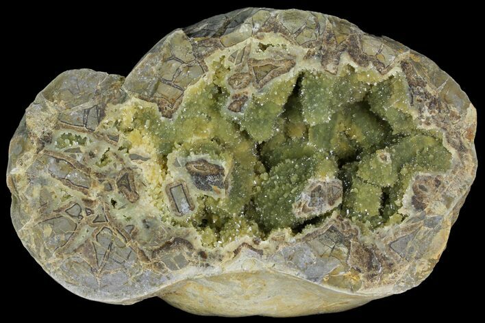 Yellow Crystal Filled Septarian Geode ( lbs) - Utah #135444